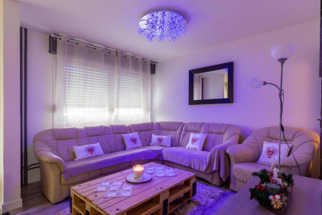 Superbe Appartement Spacieux Avec Parking Gratuit Illzach Exteriör bild
